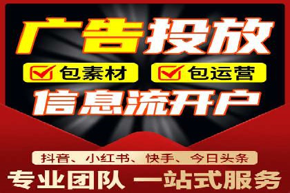 SEM代运营公司案例分析报告